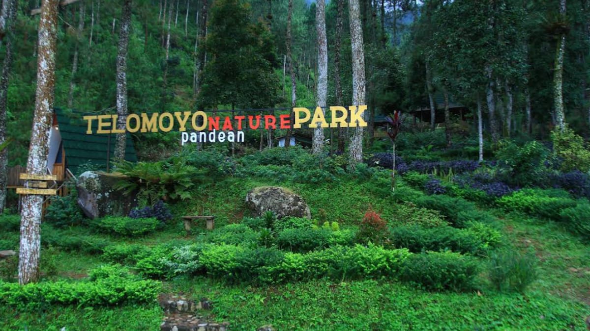 Telomoyo Nature Park: Surga Tersembunyi di Lereng Gunung Merbabu